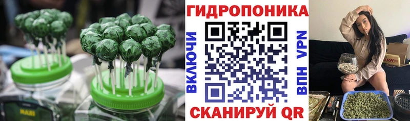 Canna-Cookies марихуана  Пионерский 