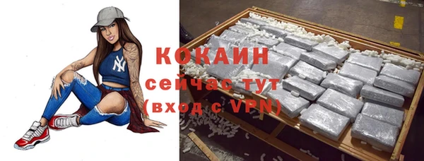 дмт Нягань