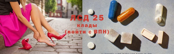 ПСИЛОЦИБИНОВЫЕ ГРИБЫ Гусев