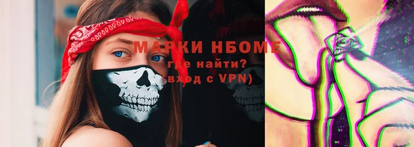 ешки Гусь-Хрустальный