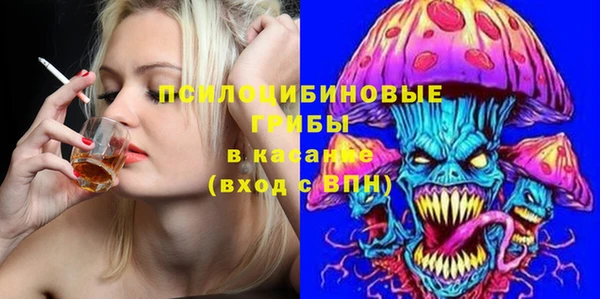 ешки Гусь-Хрустальный