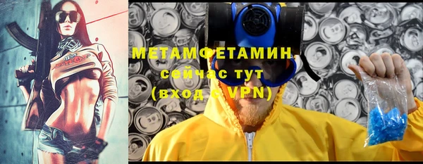 ПСИЛОЦИБИНОВЫЕ ГРИБЫ Гусев