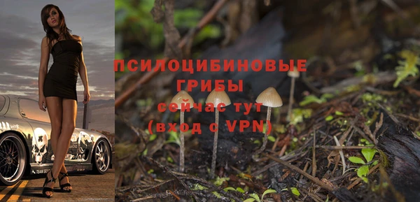 2c-b Гусиноозёрск