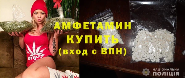 ПСИЛОЦИБИНОВЫЕ ГРИБЫ Гусев