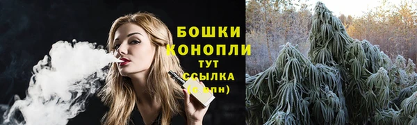 ПСИЛОЦИБИНОВЫЕ ГРИБЫ Гусев